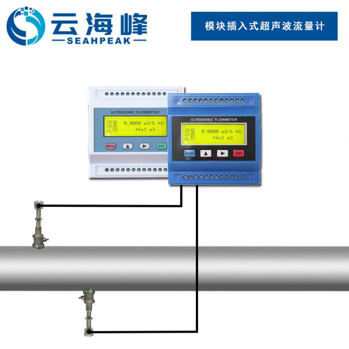 模块插入式超声波流量计 TDS-100M型